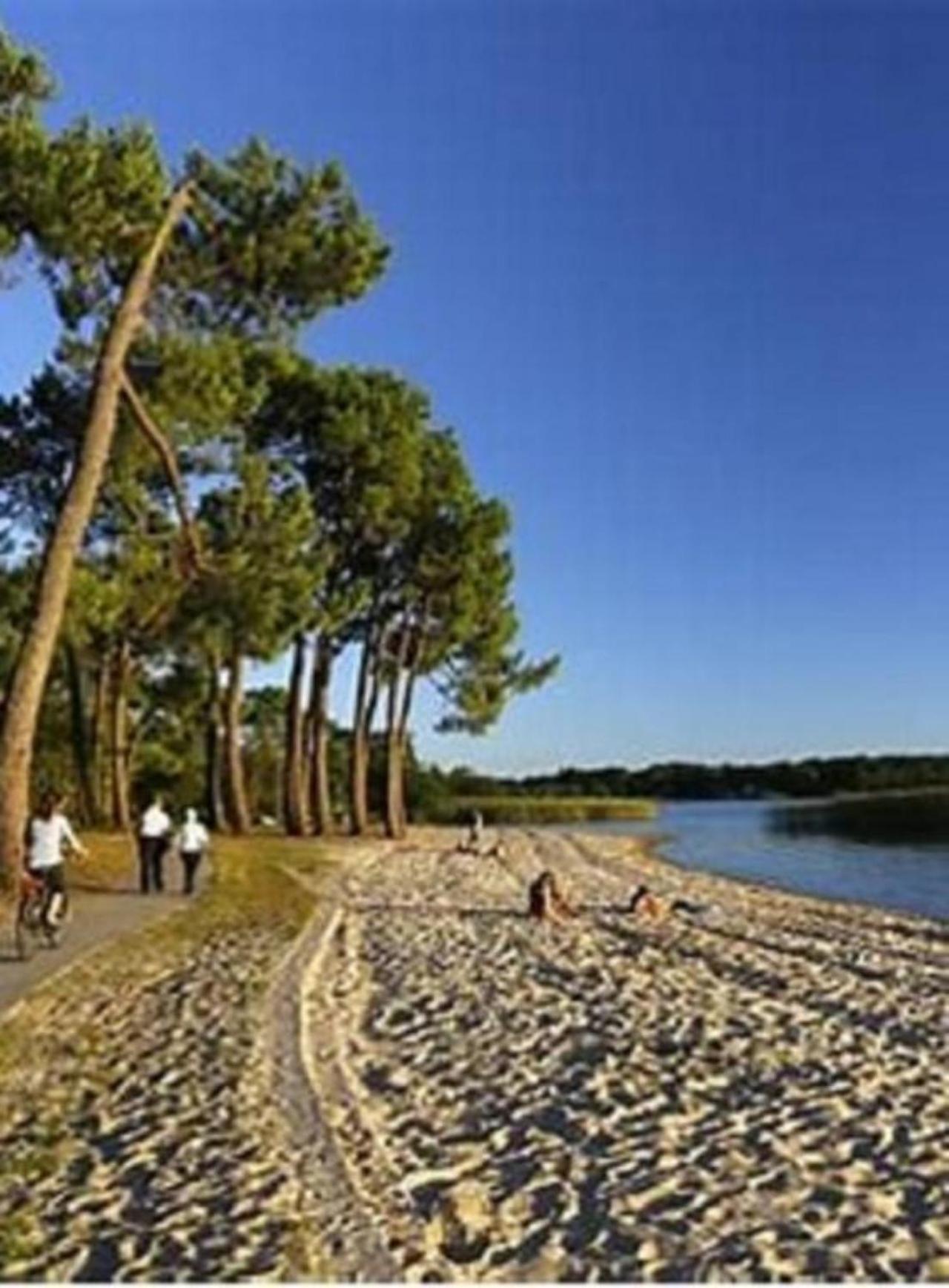 Agreable Maison A 400M Du Lac Villa Sanguinet Eksteriør bilde